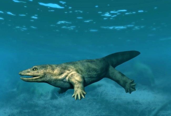 Стародавня саламандра росла дуже швидко, щоб стати тиранозавром свого часу