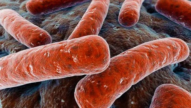 ТОП-10 найнебезпечніших бактерій – 10