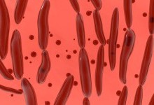 ТОП-10 найнебезпечніших бактерій