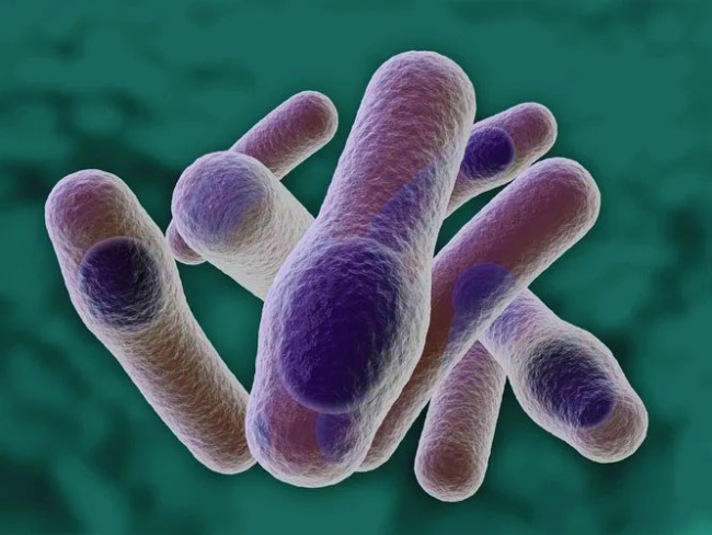 ТОП-10 найнебезпечніших бактерій – 5