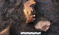 Поруч сокира та кістки: у Данії знайшли чергове «болотне тіло» віком 5000 років