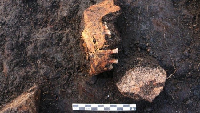 У Данії знайшли чергове болотне тіло віком 5000 років – 2