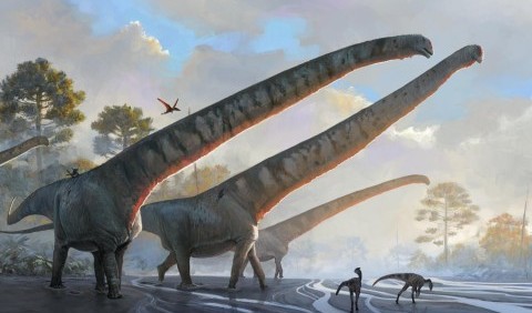 У Китаї знайдено масивну скам'янілість 70-тонного динозавра з 15-метровою шиєю