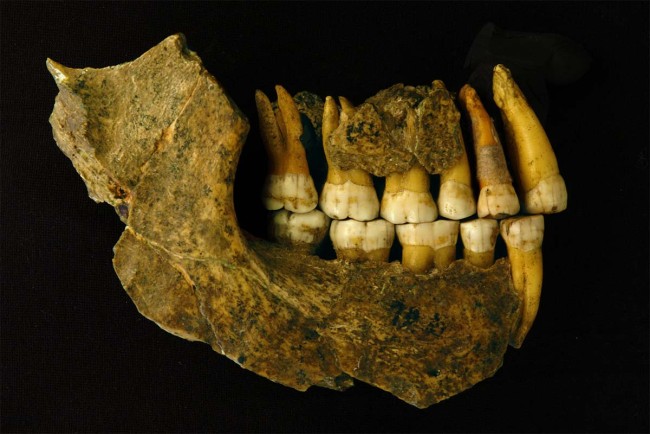 У неандертальців зуби росли набагато швидше, ніж у сучасних людей