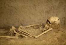 У Польщі виявили масове поховання жертв чуми XVIII століття під час будівництва будинку