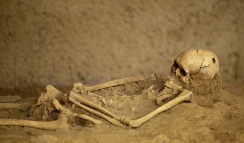 У Польщі виявили масове поховання жертв чуми XVIII століття під час будівництва будинку