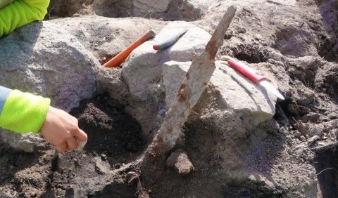 У Швеції археологи виявили на стародавньому кладовищі мечі епохи вікінгів