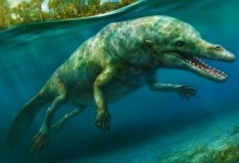 Вчені виявили останки давньої китоподібної тварини, яка жила і у воді, і на суші