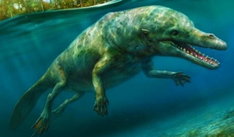 Вчені виявили останки давньої китоподібної тварини, яка жила і у воді, і на суші