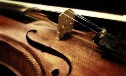 Вчені з'ясували, чому скрипки Страдіварі звучать настільки унікально