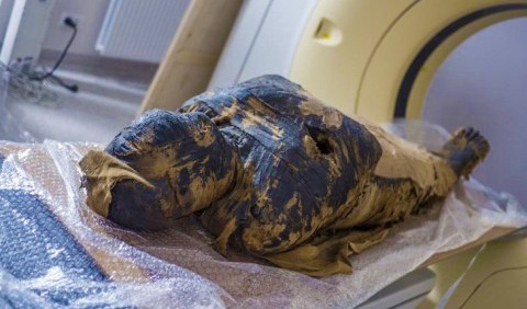 Вони боялися втратити душу: відновлено обличчя єдиної у світі вагітної мумії