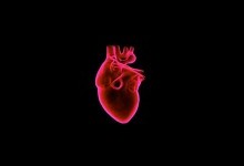 З'ясувалося, що відбувається із клітинами тіла, коли вмирає серце
