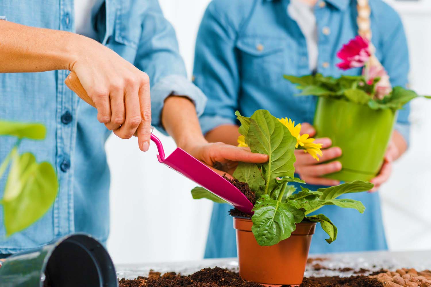 10 порад для садівників-початківців – 2