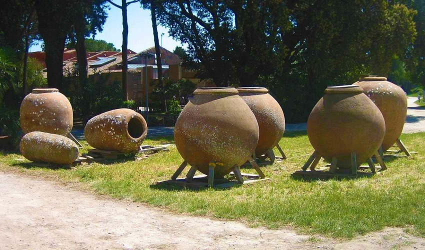 Ці посудини для виготовлення та зберігання вина знайшли в Остії, головному портовому місті Стародавнього Риму