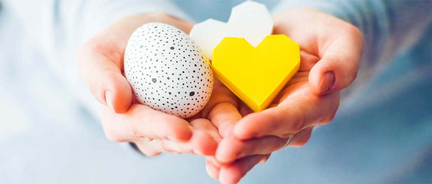 Як стати донором яйцеклітин в Україні – 3