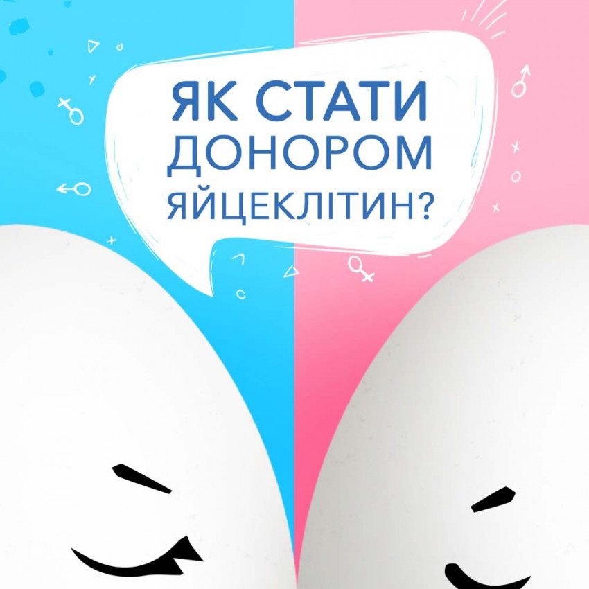 Як стати донором яйцеклітин в Україні – 2