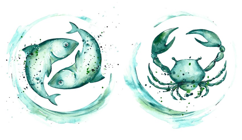 Романтичні стосунки між Раком та Рибами: Збіги та відмінності