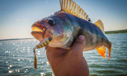 Штучні приманки для риболовлі