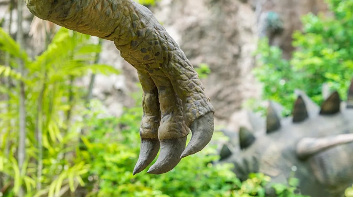 ᐈ Таємниця Migmanychion laiyang Нещодавно знайдений вид тероподів з