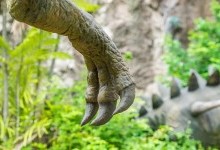 Таємниця Migmanychion laiyang: Нещодавно знайдений вид тероподів з незвичайною рукою