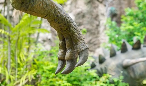 Таємниця Migmanychion laiyang: Нещодавно знайдений вид тероподів з незвичайною рукою