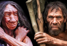 Загадкові гори Загрос: Вчені відкрили нові факти про взаємодію Homo Sapiens з неандертальцями