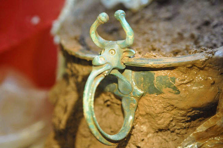 Знайомтеся, Бовріл – археолог-аматор знайшов каструлю віком 2000 років із ручкою у вигляді бика