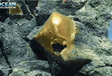 Золоте яйце: подивіться, що побачив підводний апарат на глибині 2 миль у Тихому океані