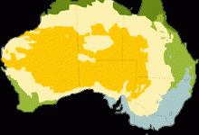 Австралія – земля сумчастих
