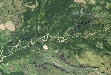 Амазонка – королева наземних річок