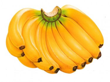 Гроно бананів