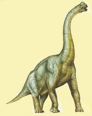 Брахіозавр - плечистий ящір
