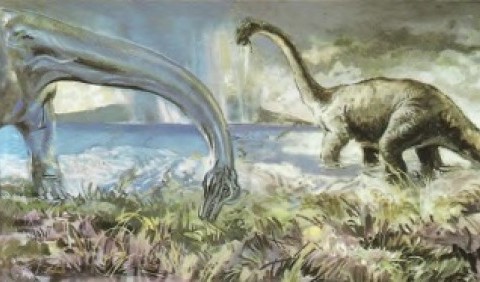 Найпоширеніші помилки палеонтологів
