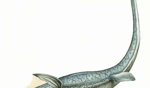 Плезіозаври: океанські гіганти