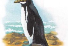 Жовтоокий пінгвін
