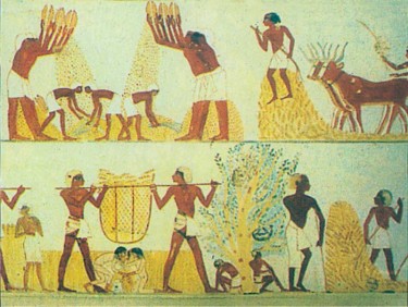 Землеробство Стародавнього Єгипту (фреска в усипальниці)