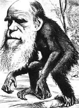 Карикатура на Дарвіна та його теорію походження видів