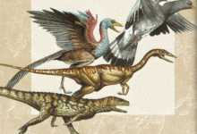 Ланцюжок еволюції: від рептилій до динозаврів і птахів