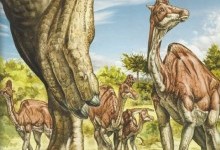 Переваги й недоліки життя в стаді динозаврів