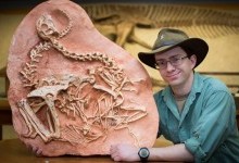 Найпоширеніші помилки палеонтологів