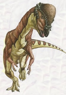 Пахіцефалозавр
