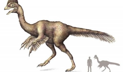 Пернаті динозаври провінції Лайонінг (Китай)
