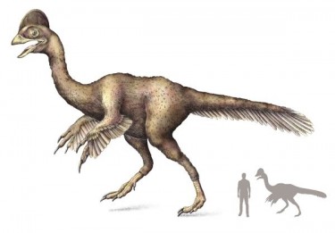 Пернаті динозаври провінції Лайонінг (Китай)