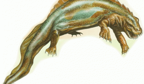 Плакодонти – рептилії з плоскими зубами