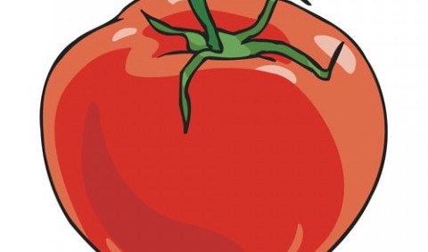 Звідки ми знаємо про помідор?