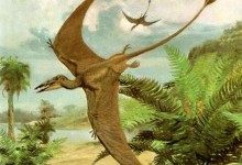 Птерозавр (загальний огляд)