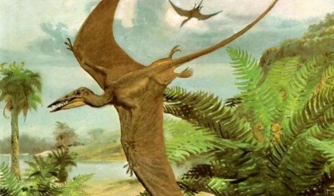 Птерозавр (загальний огляд)