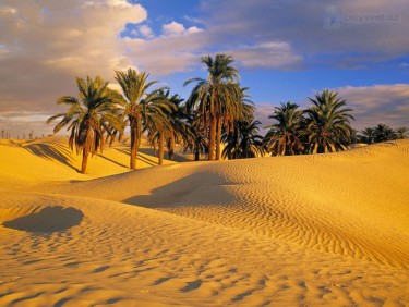 Пустеля Сахара