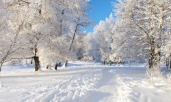 Сніг у світогляді українців