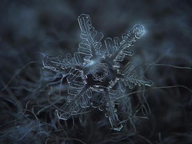 Сніжинка під мікроскопом